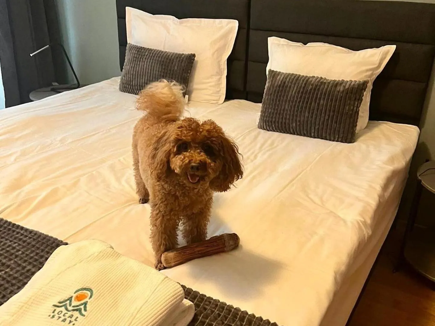 Local Stay Villas 班斯科